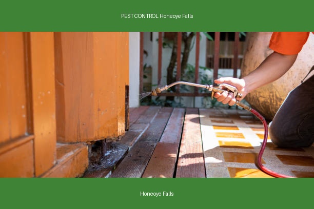 PEST CONTROL Honeoye Falls